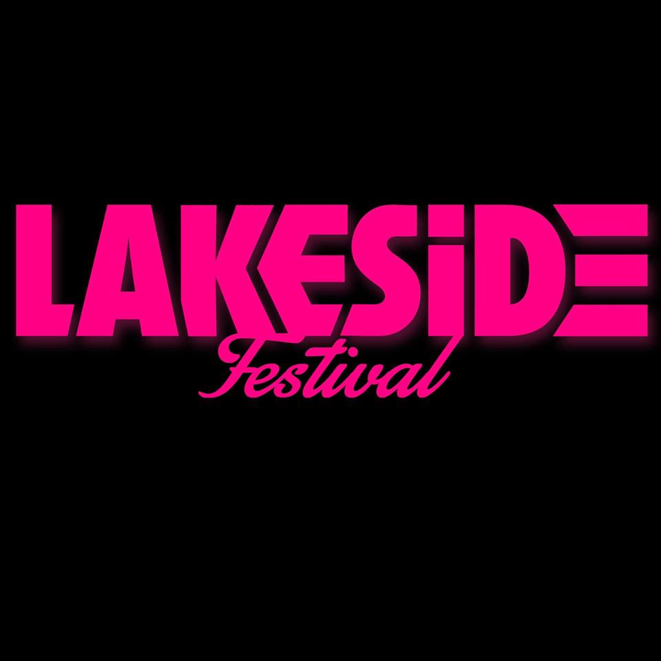 Image hover effect image